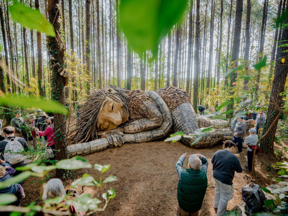 Into the Woods With the Dix Park Trolls