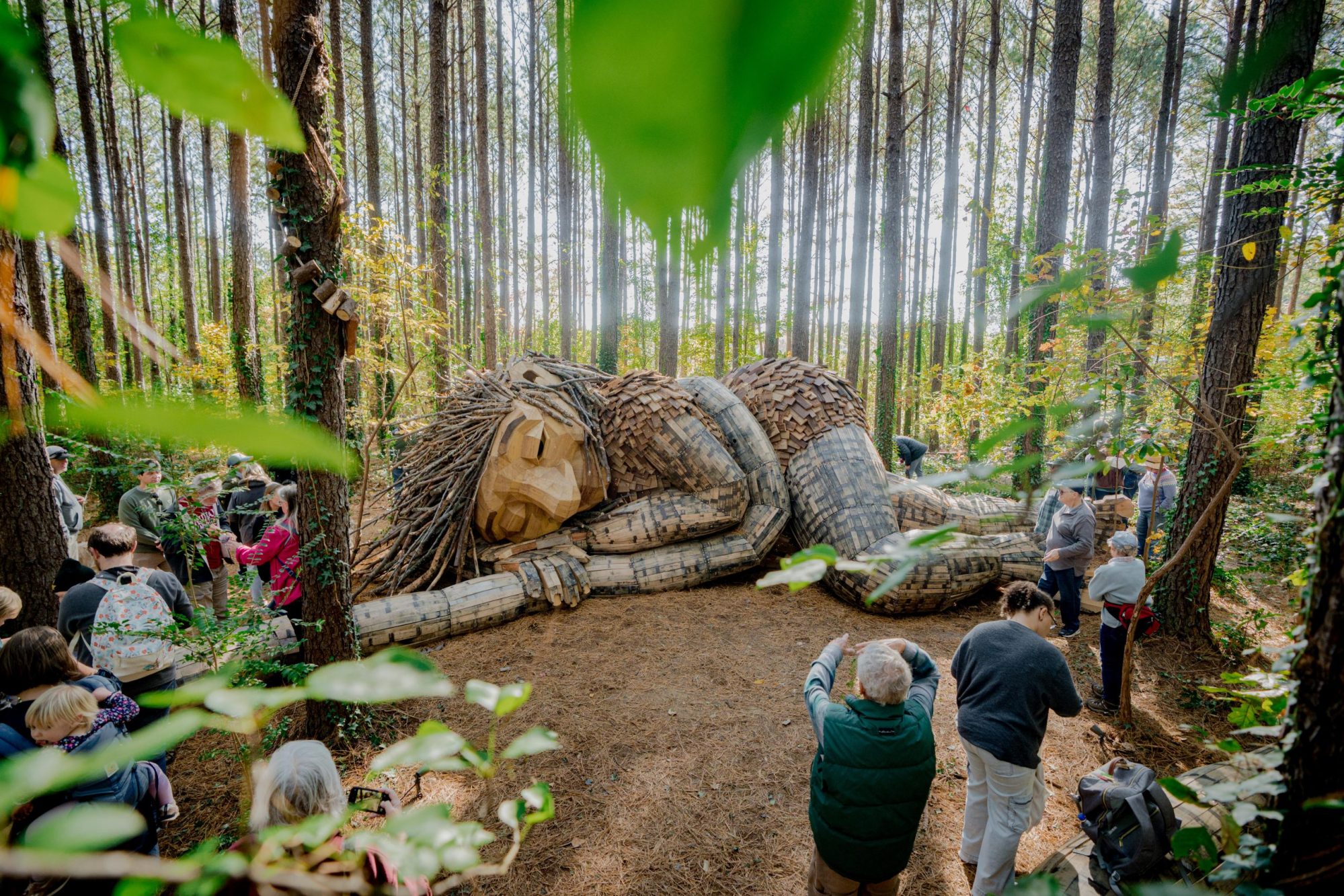 Mother Strongtail in repose. Photo courtesy of Dix Park Conservancy.