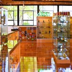 photograph of interior of dispensary shop