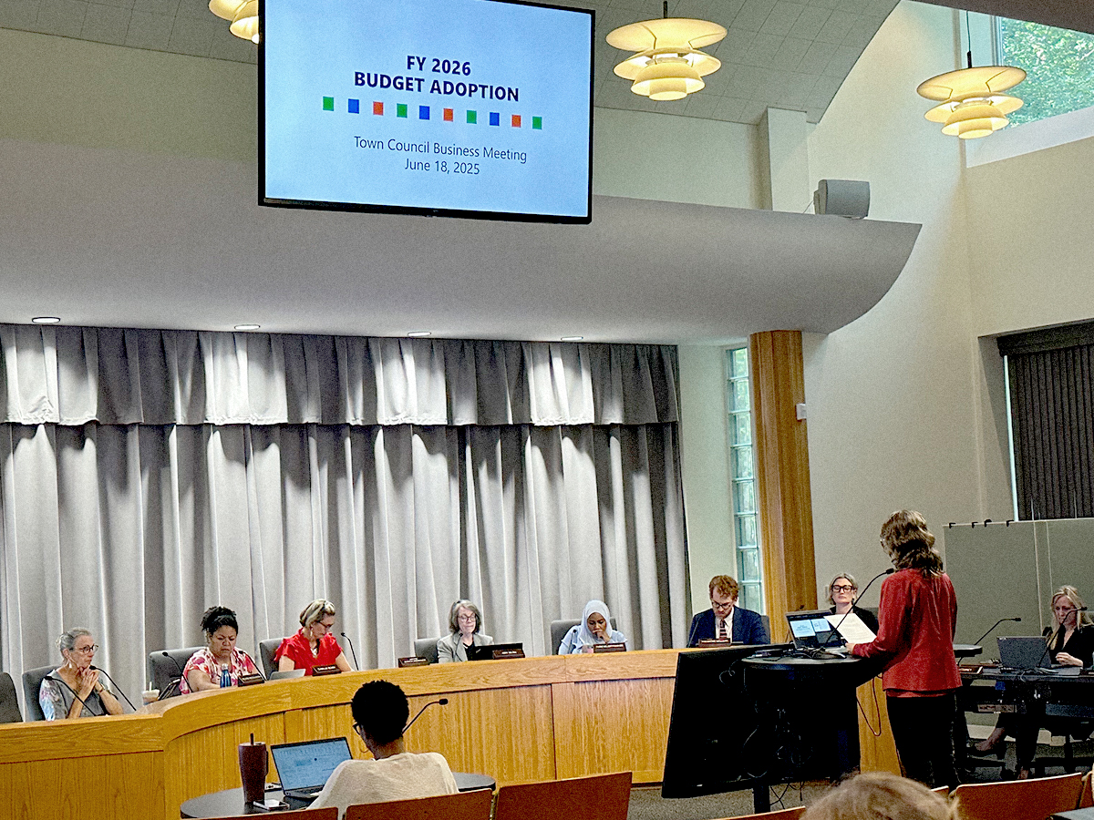 In Chapel Hill, A Council Divided