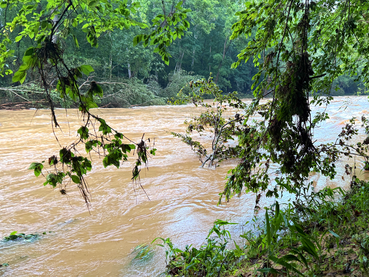 “A Wake Up Call”: Record Flooding Damages Eno River State Park
