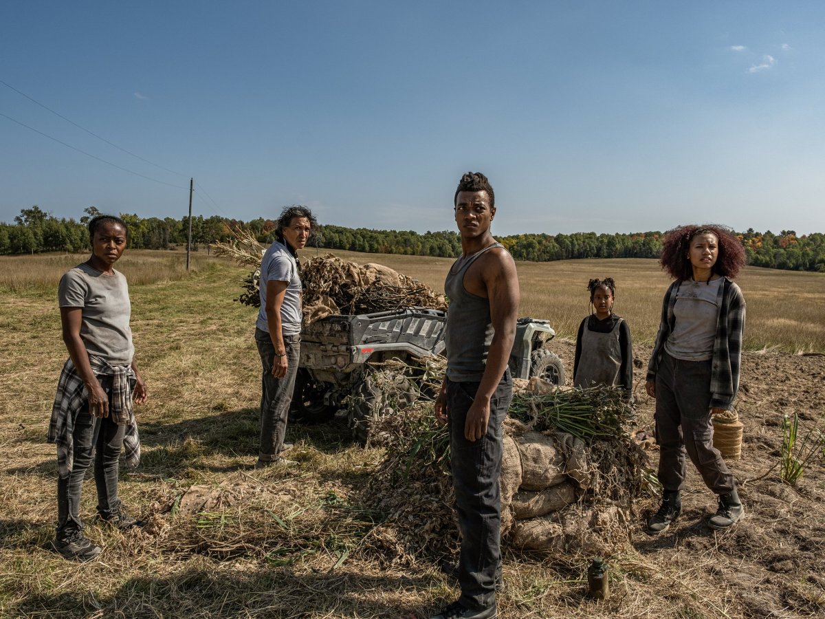 Incoming! Wandering Cannibals, Dark Comedy, and American Psychosis   