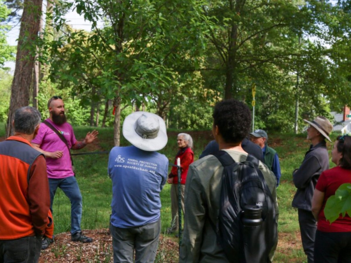 Workshop Educates Durham Residents on Preserving City’s Tree Canopy