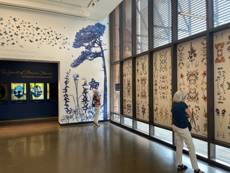 In Search of Thoreau's Flowers is on display through January 31, 2026. Image courtesy of the Gregg Museum of Art & Design. 