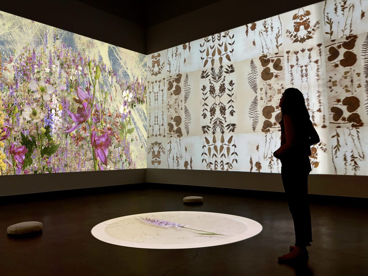Raleigh Exhibition Shows How Thoreau Helped Map Climate Change