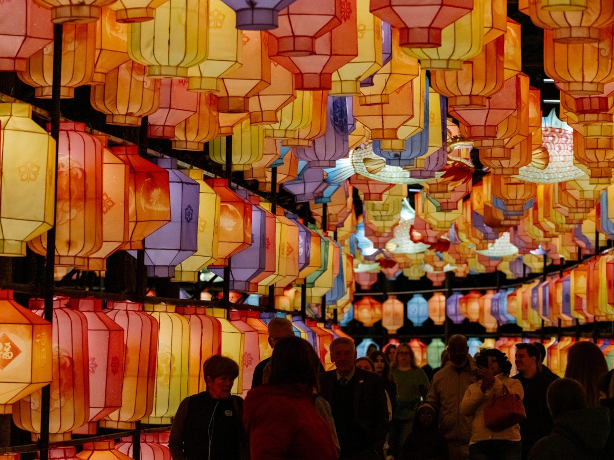 100,000 Feet of Wiring, 20,000 Lights, and 14 Acres: Inside the North Carolina Chinese Lantern Festival  
