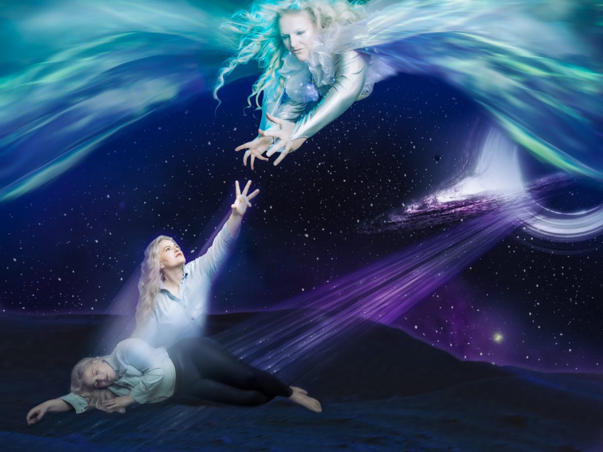 Mad Gallica. Image by Brian Ray Norris.