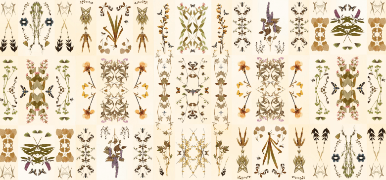 Marsha Gordon and Robin Vuchnich, "Herbaria North Carolina." Digital collage. Photo courtesy of the Gregg Museum of Art & Design. 